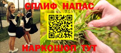 тгк Камышлов