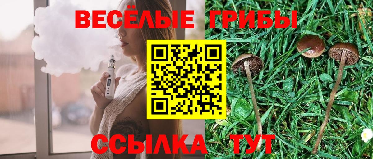 Кунгур  Галлюциногенные грибы Psilocybe  Вход с VPN 